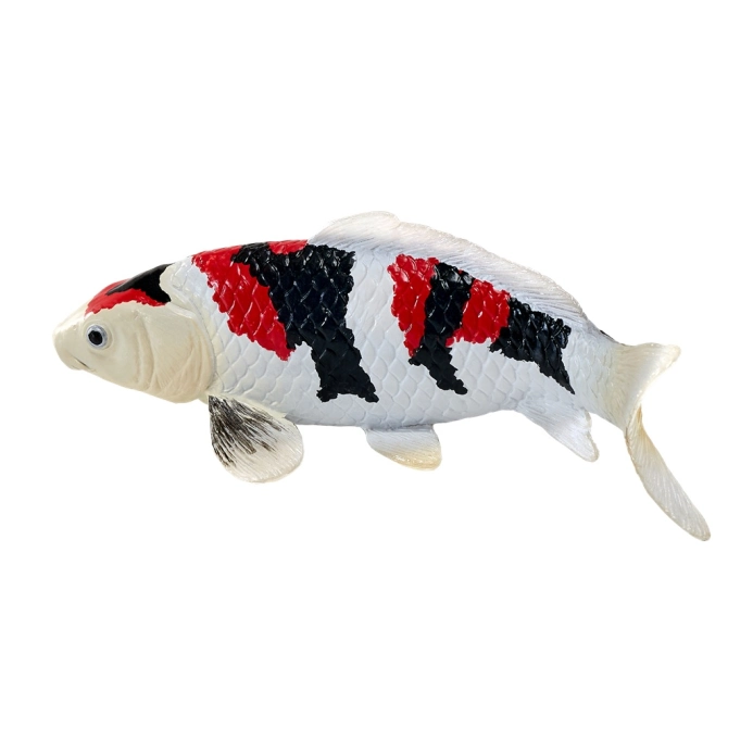 Mojo Kapr koi showa sanshoku