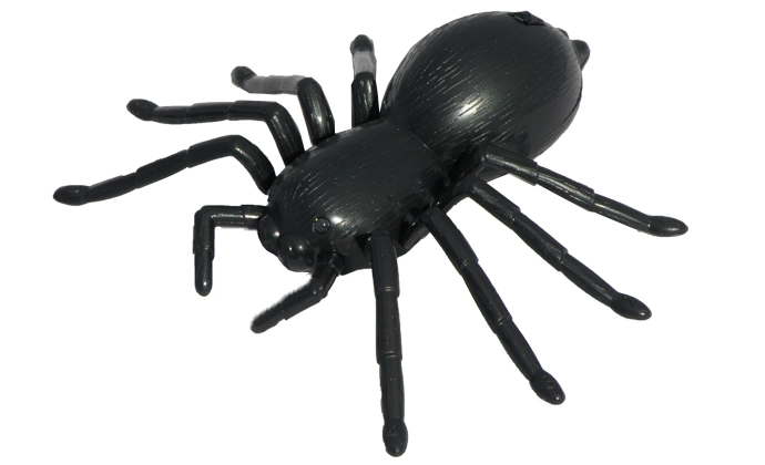 RC pavouk