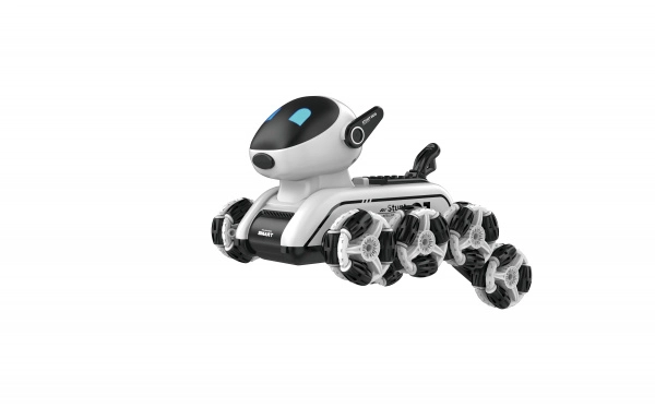 RoboDog Fleg
