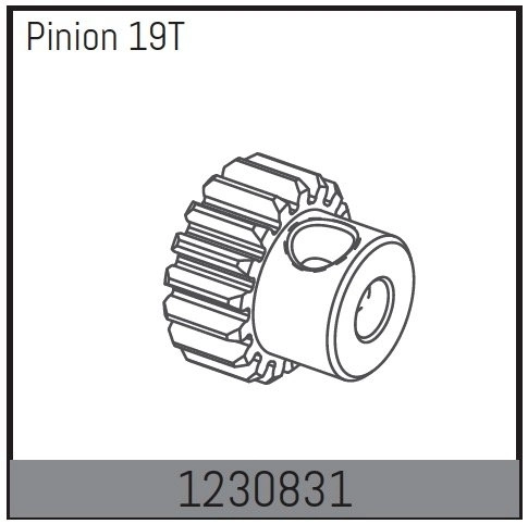 1230831 – Pastorok motora 19T