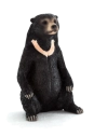 Mojo Medvěd malajský