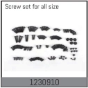1230910 - Complete Screw Set