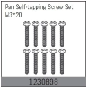 1230898 - M3*20 Pan self-tapping Screw Set (10)