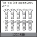 1230889 - M3*10 Flat Head Self-tapping Screw Set (10)