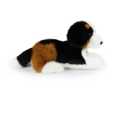 Rappa Plyšový pes bernský salašnický 22 cm ECO-FRIENDLY PLUSH WORLD