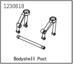 Body Shell Post front