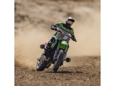 Losi Promoto-MX Motorcycle 1:4 RTR, Pro Circuit
