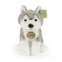Rappa Plyšový pes husky sediaci 23 cm SOFT COLLECTION, ECO-FRIENDLY