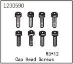 Cap Head Screw M3*12 (8)