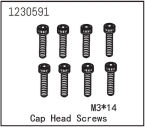 Cap Head Screw M3*14 (8)