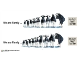 Italeri CLASSIC TANK TRAILER „We are family“ (1:24)