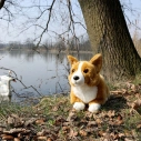 Rappa Plyšový pes corgi 32 cm ECO-FRIENDLY