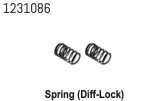 1231086 - Spring (Diff-Lock) CR4.4 (2)