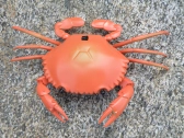 Krab na diaľkové ovládanie, oranžová