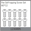 1230895 - M3*12 Pan self-tapping Screw Set (10)