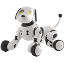 RC Robopes, čierna