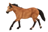 Mojo Quarter horse plavák