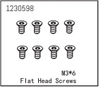 Flat Head Screw M3*6 (8)