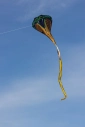 Šarkan Kobra