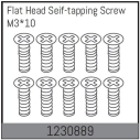1230889 - M3*10 Flat Head Self-tapping Screw Set (10)