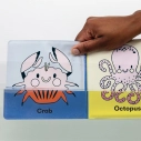 Mudpuppy Kúpacia kniha Vyfarbi oceán - poškodený obal