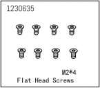 Flat Head Screw M2*4 (8)