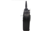 Spektrum DXs DSMX, AR410