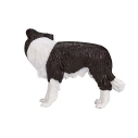 Mojo Border kolie