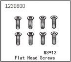 Flat Head Screw M3*12 (8)
