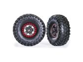 Traxxas kolo 2.2", disk TRX-4 Sport šedý/červený, pneu Canyon Trail (2)
