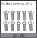1230892 - M3*10 Flat Head Screw Set (10)