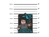 LEGO magnetka – Harry Potter