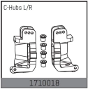 C-Hub L/P