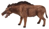 Mojo Daeodon
