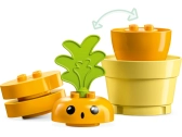 LEGO DUPLO - Pestovanie mrkvy