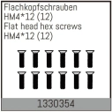 Flat head hex fine pitch screws HM4*12/12 pcs