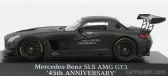 Minichamps Mercedes benz Sls Amg Gt3 N 0 45th Anniversary 2016 1:43 Matt Grey