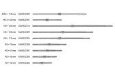 Šesťhranná tyč M3x112mm