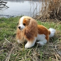 Rappa Plyšový pes kavalier King Charles španiel 28 cm ECO-FRIENDLY
