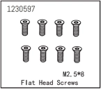Flat Head Screw M2.5*8 (8)