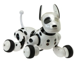 BAZÁR – RC Robopes, čierna