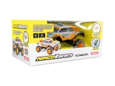 BAZAR - NINCORACERS Driftrack RTR