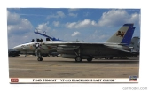 Hasegawa Grumman F-14d Tomcat Vf-213 Blacklions Last Cruise Military Airplane 1974 1:72 /
