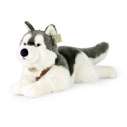 Rappa Plyšový pes husky s obojkom ležiaci 60 cm ECO-FRIENDLYRappa Plyšový pes husky s obojkom ležiaci 60 cm ECO-FRIENDLY