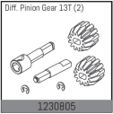 1230805 - Differential Gear 13T (2)