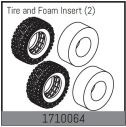 Tire and Foam Insert (2)