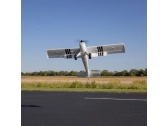 E-flite Timber 1.5m 10th Anniversary Special Edition AS3X SAFE Select BNF Basic