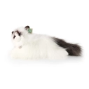 Rappa Plyšová mačka ragdoll ležiaca 35 cm ECO-FRIENDLY
