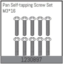 1230897 - M3*16 Pan self-tapping Screw Set (10)
