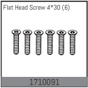 Flat Head Screw 4*30 (6)